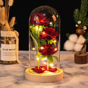Mother's Day Gifts Rose Flower in Glass Led Lamp Gift for Lover