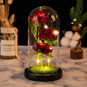 Mother's Day Gifts Rose Flower in Glass Little Princess Led Light Gift for Lover