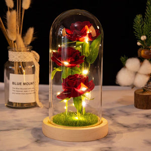 Mother's Day Gifts Gifts for Her Flower Rose in Glass Little Princess Led Light Gift for Lover