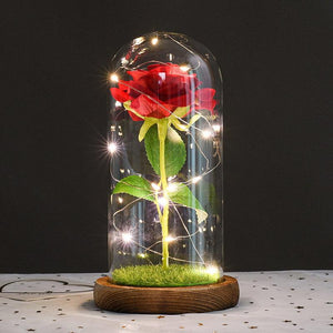 Romantic Simulation Eternal Rose Flower Glass Cover LED Micro Landscape Gifts for love at Christmas, Anniversary and Valentine's Day
