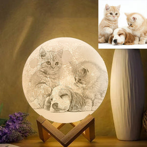 Pet Memorial Gift Photo Moon Lamp Engraved Luna Lamp With Engravings