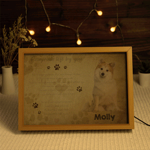 Custom Photo and Name Lamp Memorial Gifts For Dogs Personalized Light Christmas Gift - photomoonlamp